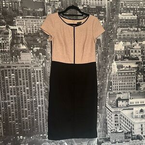 Ann Taylor Black and Tan Midi Dress